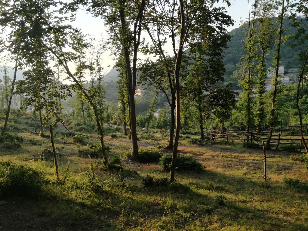 B&B Rifugio Angelina วิเอตริ ภายนอก รูปภาพ